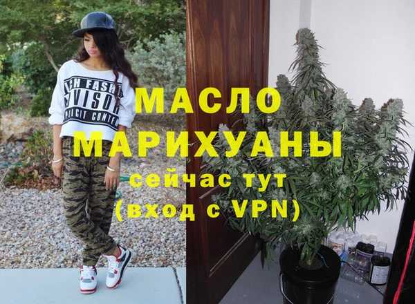 тгк Каменка