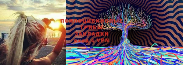шишки Алзамай