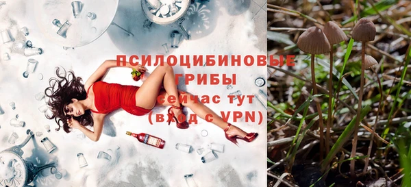 шишки Алзамай