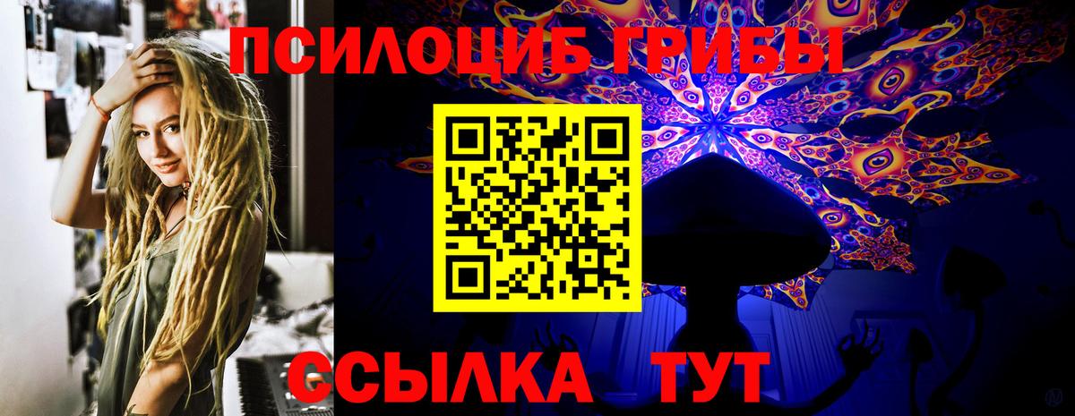 Галлюциногенные грибы прущие грибы Кропоткин