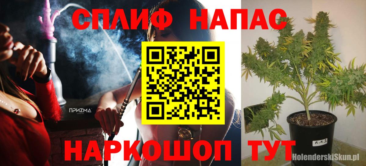 Шишки марихуана план  Конопля семена  Марихуана ГИДРОПОН  Вход с VPN  Кропоткин 